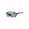 Daiwa (DAIWA) Polycarbonate Photochromic Polarized Sunglasses, Matte Black/Light Gray DN-4216H