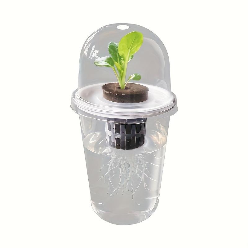 Hydroponic Seed Pots Transparent Plastic Cylindrical Hydroponic Seed Pots Hydroponic Growing Kit High