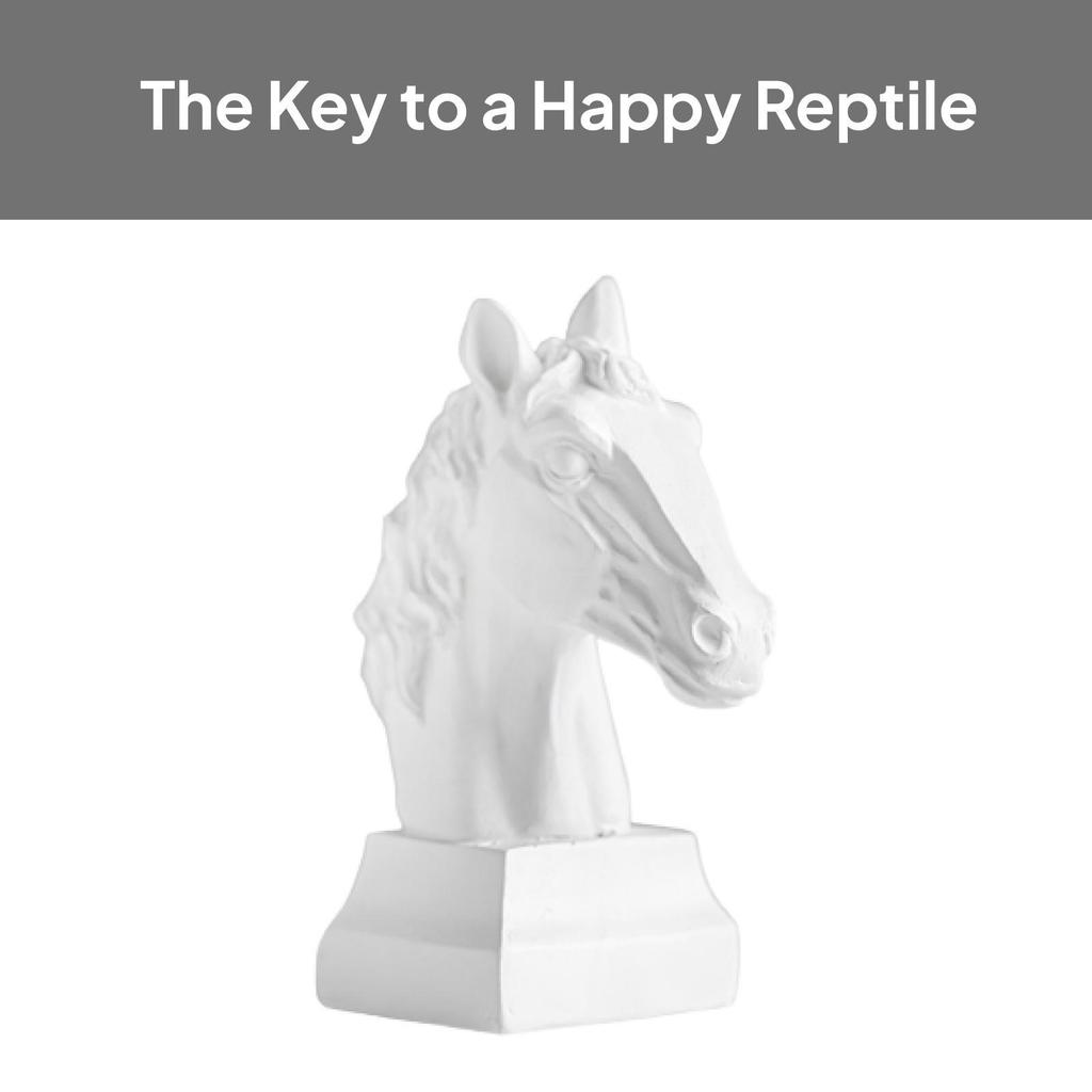 Horse Head Statue Tabletop Resin Animal Figurine Modern Sculpture for Office Living Room Decor