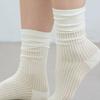 TSH See-through Ribbed Socks 5 Colors
