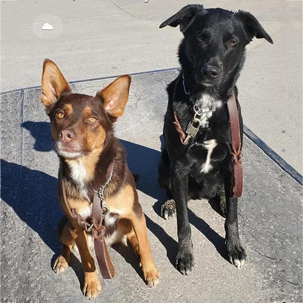 2.5cm Wide Strong Real Leather Dog Leash Best for Medium and Large Dogs Heavy Duty Soft Oily Genuine Leather Dog Training Leash