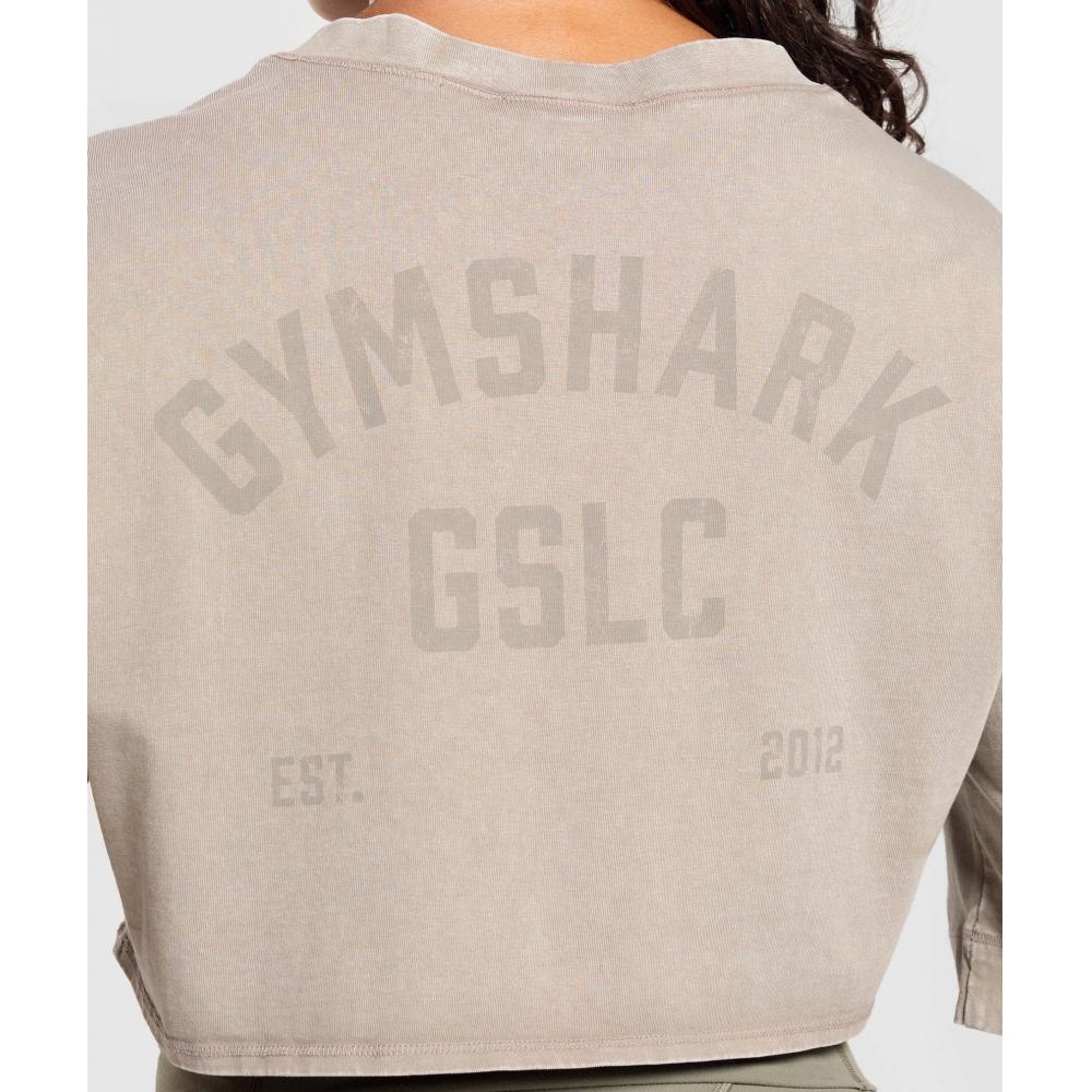 Gymshark Gslc Washed Graphic Crop Top Linen Brown B4b3c Nc2g