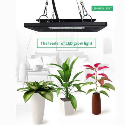 50W Plant Growing Lamps Mixed Pink Bulbs Hydroponic Full Spectrum LED Plant Light Light Waterproof