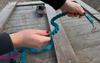 Dog Leash with Shock Absorber, Short Adjustable, with Handle, 280cm, TURQUOISE, AMOhand, Fasten