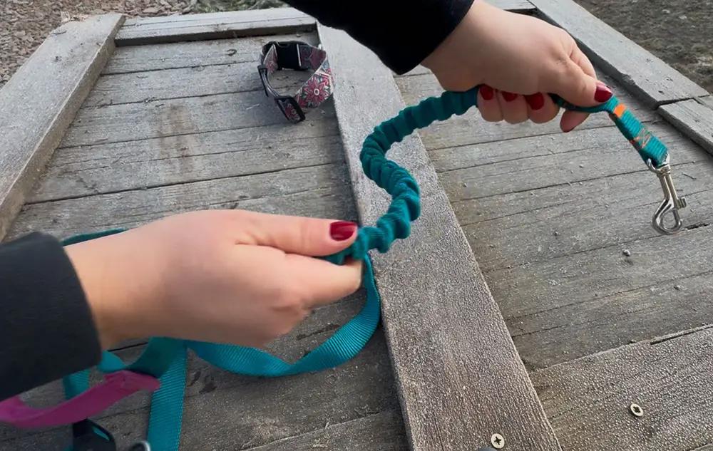 Dog Leash with Shock Absorber, Short Adjustable, with Handle, 280cm, TURQUOISE, AMOhand, Fasten