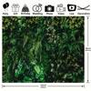 Green Tropical Palm Leaf Photography Background, Summer Flowers, Natural Jungle, Wildlife Park, Plant Party Photo Background