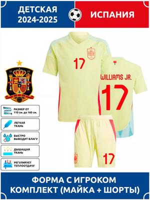 Williams Jr. Spain National Team Football Jersey #17 Champions League Edition Football Jerseys Training Suit Set