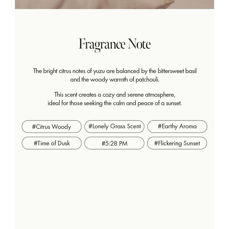 anillo Amber 528 Scented Hand & Body Wash