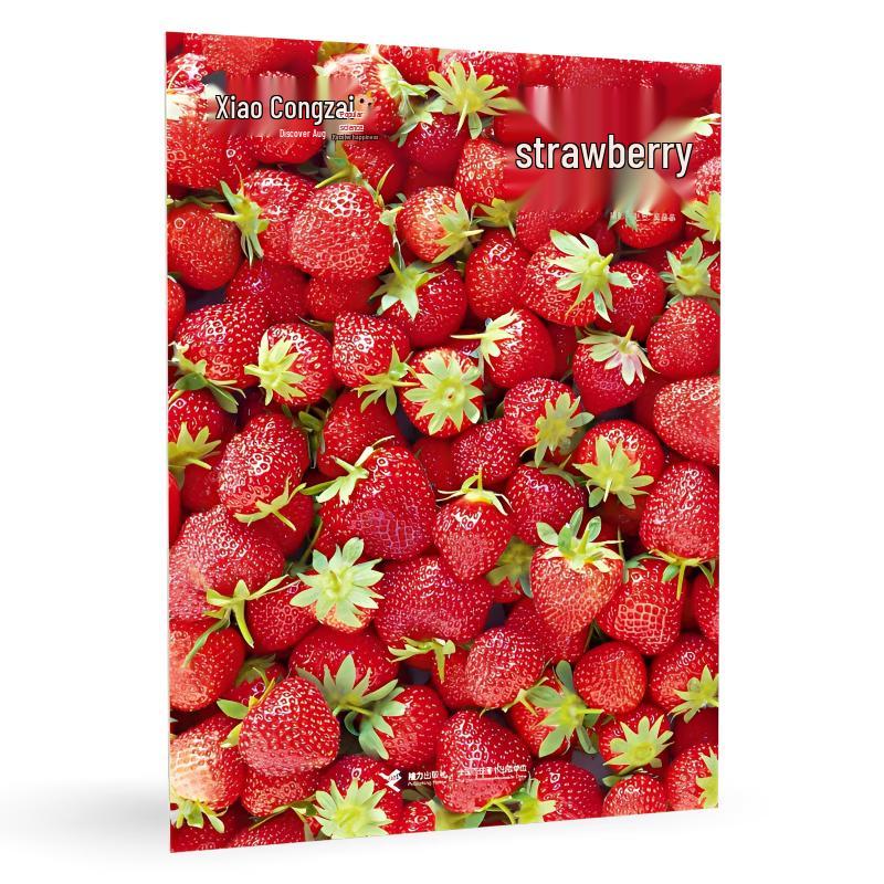 Little Smarty Popular Science Magazine
