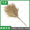 Jixiong Heavy-Duty Bamboo Brooms