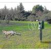 Ultraschall-Katzenabwehrgerät für Garten und Bauernhof, batteriebetrieben, Tierabwehr mit 3 Batterien, Outdoor-Schädlingsbekämpfungslösung