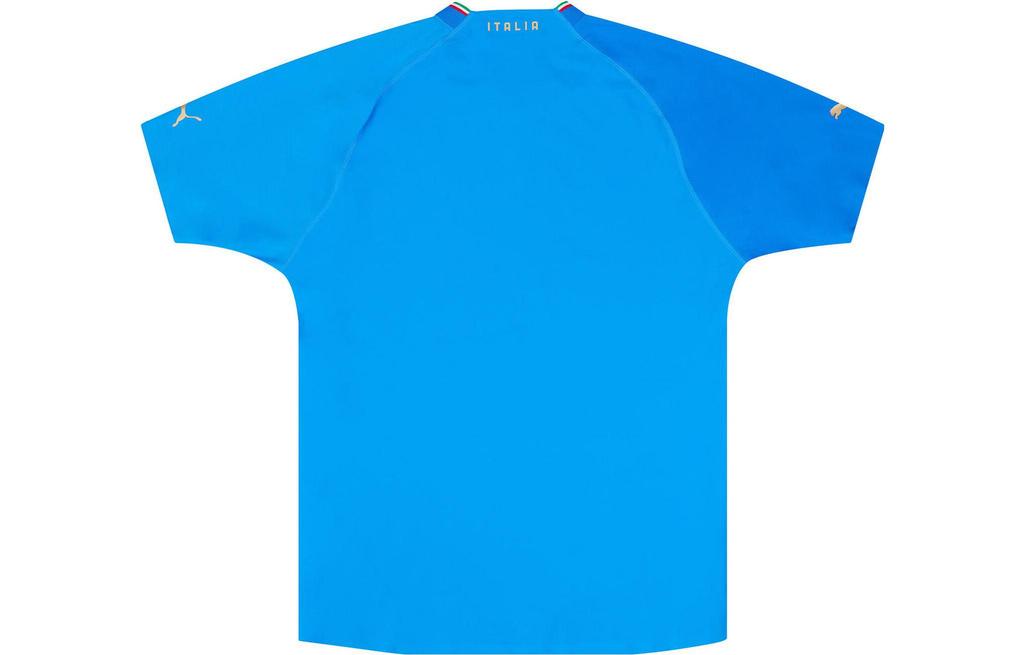 Puma Soccer Jerseys Men's Blue Moderate Straight Fit 765670-01