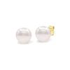 Earrings - PEARLS & COLORS - Pearls & Colors - Akoya Pearl 7-7.5 Mm - 18 Ct Gold - White