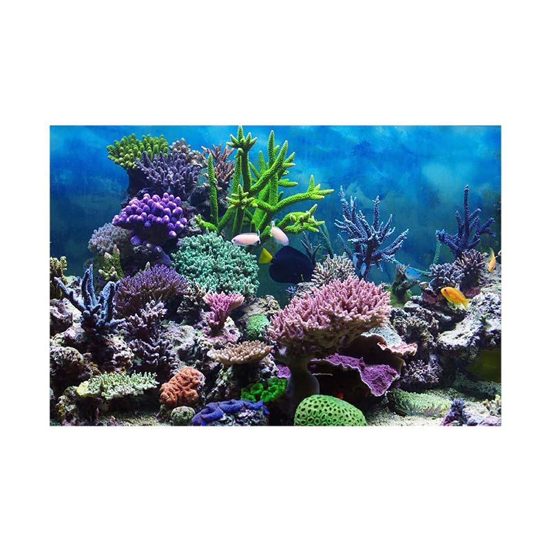 The Underwater World Fantasy Ocean Akvárium Téma Fényképezés Háttér Kendő fotó Háttér fali dekoráció