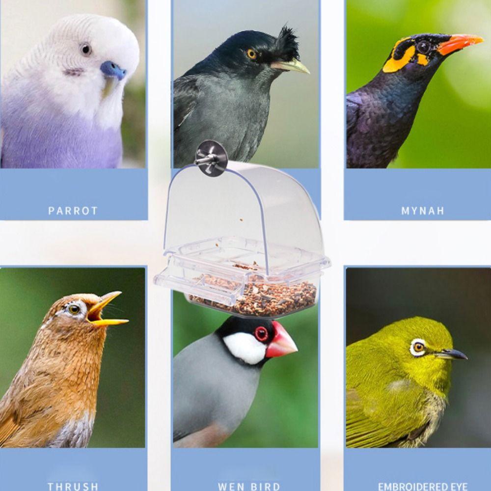 Hanging for Parakeets Parrot Feeding Trough Bird Food Container Bird Accessories Bird Cage Feeder