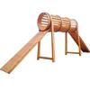 ZLIII Dog Agility Training Obstacle