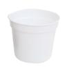 Set di 10 Vasi Rotondi in Plastica per Succulente Fioriera Scatola per Coltivazione Fioriera 2 Colori per Decorazione Casa Ufficio o Giardino