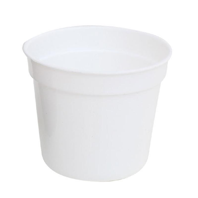 Set di 10 Vasi Rotondi in Plastica per Succulente Fioriera Scatola per Coltivazione Fioriera 2 Colori per Decorazione Casa Ufficio o Giardino