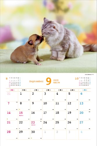 2025 Ημερολόγιο Nakayoshi Σκύλος/Γάτα <Γεμάτο χαριτωμενιά!> Κάθε μέρα είναι μια χαλαρωτική στιγμή > ([Ημερολόγιο])