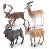 Faux Animal Exquisite Models With Impressive Detail Perfect For Display And Collection