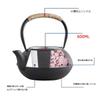 HwaGui South Iron Kettle, Ironware, Teapot, IH Compatible, Direct Heat, Iron Teapot, 600ml