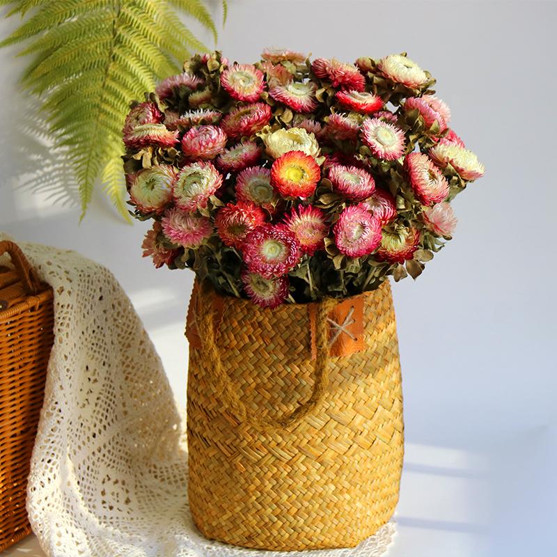 Daisy Dried Flower Bouquet for Living Room and Bedroom Décor - Natural Yunnan Flowers for Display or Photo Props