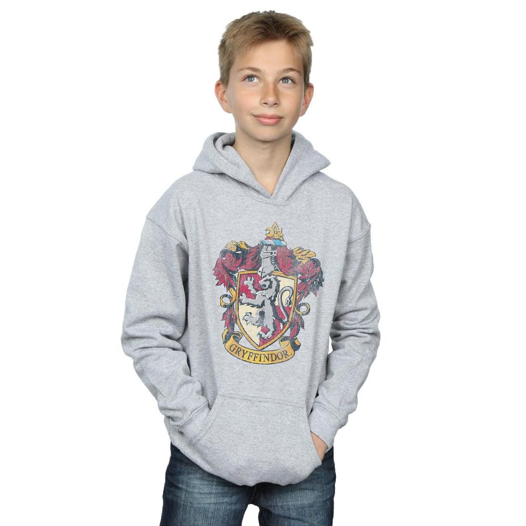 Harry Potter Boys Gryffindor Distressed Crest Hoodie