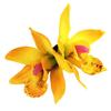 Hawaii Colourful Hair Clip Flower Hairpin Double Orchid Hair Clips Children's Hair Accessories for Women and Girls