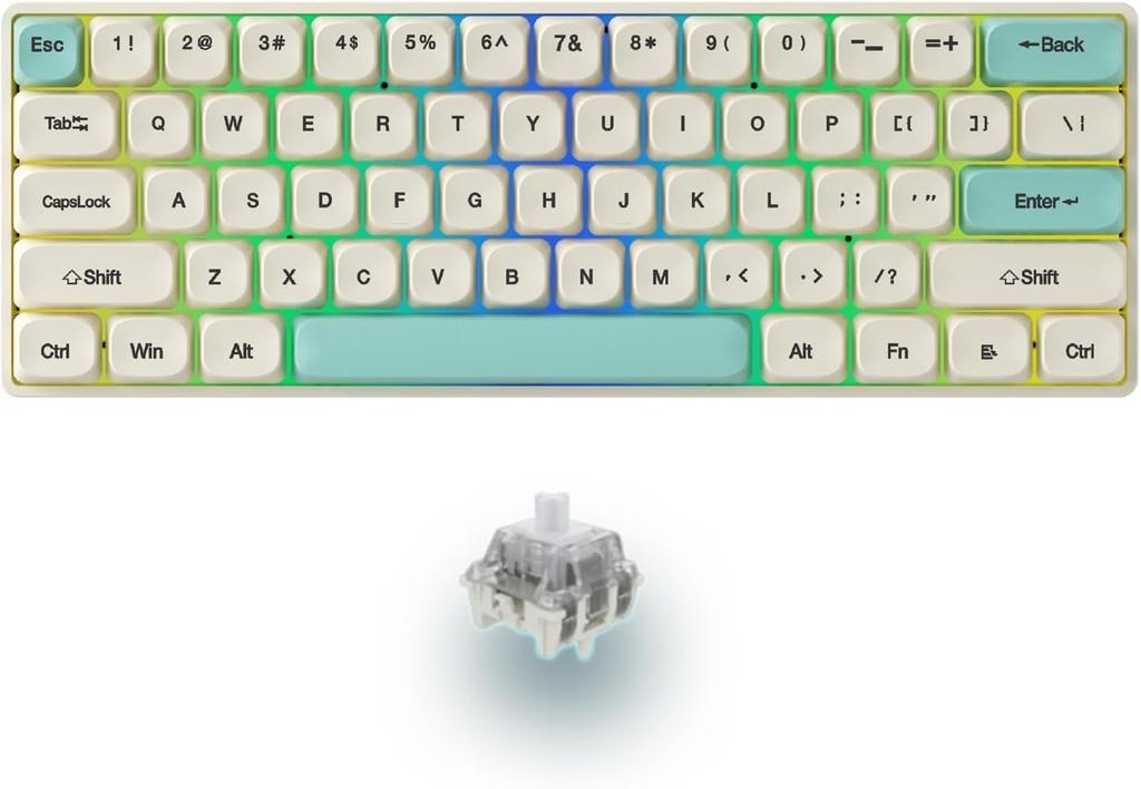 Rapid Trigger Keyboard: Mechanical Gaming Keyboard with Magnetic Shaft, 0.04mm RT Accuracy, RGB Lighting, 61 Keys, 8000Hz Transmission Speed, Type-C