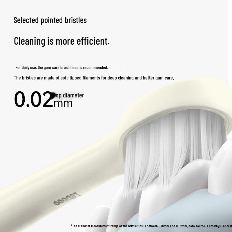 Lebooo LTB-203556A Sonic Electric Toothbrush CN plug (adapter included)