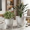 Self-Watering Plant Pots Self-Watering Pots,Double Layer Planter with Reservoir, Clear Flowerpot Decorative Pot for African