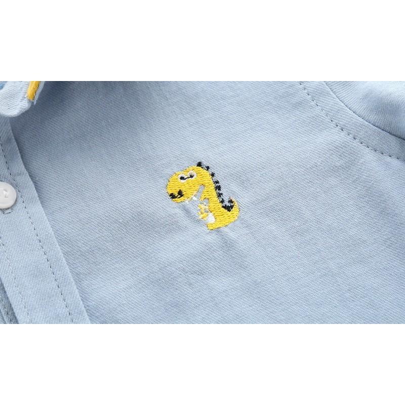 Boys' Shirts, Spring and Autumn Long-sleeved Autumn Clothes, Cotton, Boys, Handsome Tops, Children