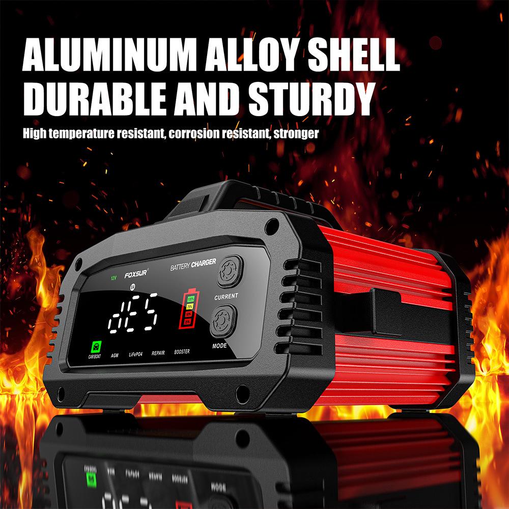 FOXSUR 25A Tragbares Dual-Spannungs-Ladegerät für Blei-Säure- & Lithium-Eisen-Batterien (12V / 24V) für Autos, Boote und Motorräder