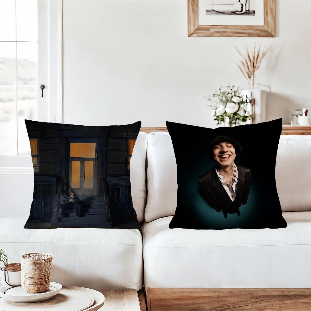 Napisz Jak Bedziesz S-Sobel Pillow Case Suitable For Bedrooms Living Rooms Cars Home Decoration