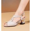 Damensandalen mit einem Riemen, dicken Absätzen und spitzen Zehen, lässige Schuhe mit mittlerem Absatz
