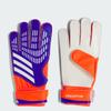 Adidas Predator Goalkeeper Gloves Training