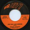 7inch Record ROMAN STEWART  How Can I Love Someone ML1842 Big Hit 1975 US Reggae Ska  Dub Used
