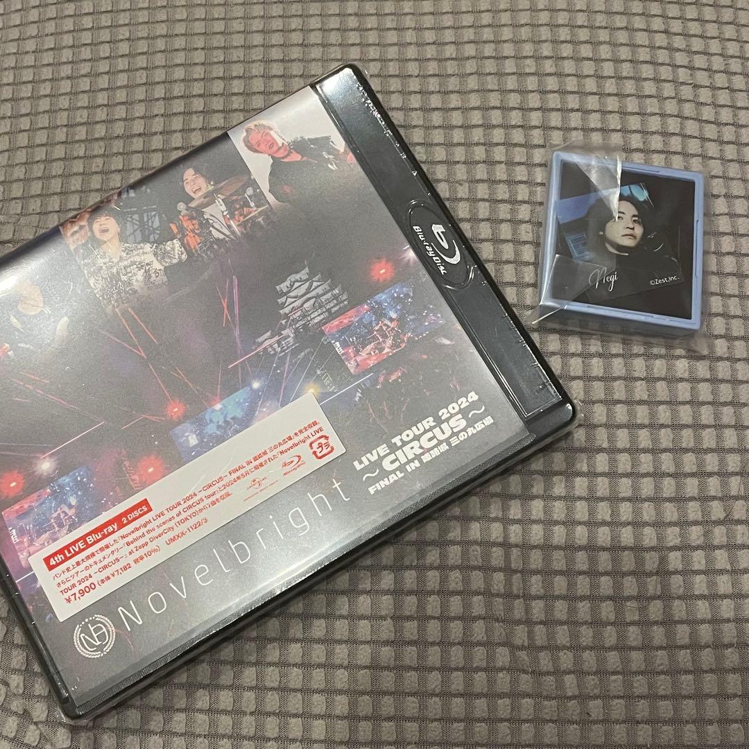 

[USED] Novelbright Live Tour 2024 CIRCUS Bikkura Tamago