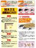 Takagi Adhesive Mousetrap 30 Sheets Sheets, Chemical-Free, Temperature-Resistant, Waterproof, Book-Style,
