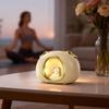 F20 White Noise Sleep Bluetooth Speaker with Night Light for Home, Office, or Bedroom