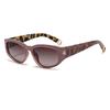 2026 Classic Small Square Frame Polarized Sunglasses - High-End European & American Street Style