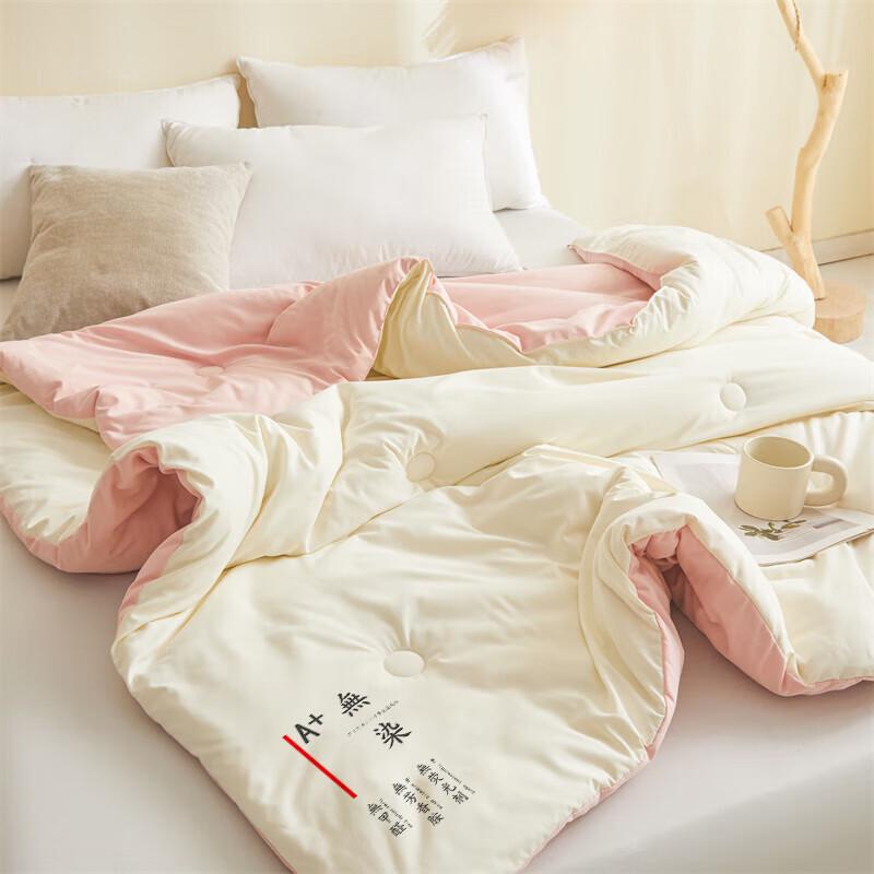 

Bejirog All-Season Comfort Soy Fiber Quilt