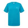 Arcteryx CORMAC Schnelltrocknende T-Shirts Herren 23042