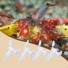 Peixes e animais aquáticos – Manutenção de aquário