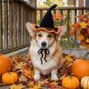 Adjustable Pet Halloween Star Hats Breathable Decorative Cat Witch Hat Knitted Hat Soft Halloween Dog Costume Halloween Party