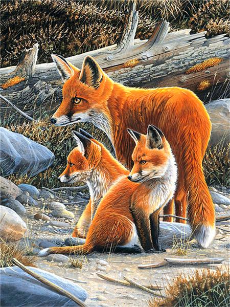 5d Diamond Painting New Fox Winter Home Decor Embroidery Mosaic Animal Snow Cross Stitch Wall Sticker