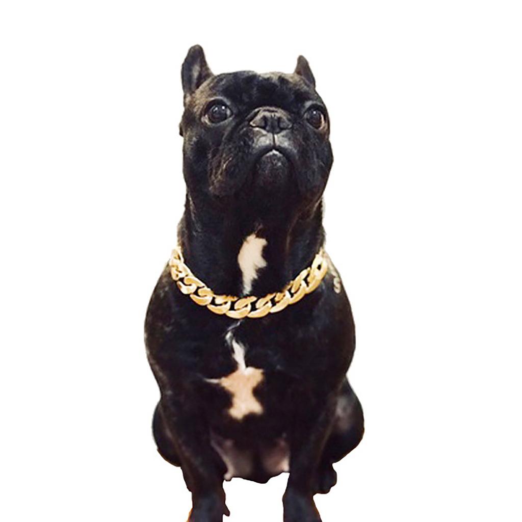 Teddy Bargo French Dog - Gold Chain Small And Medium Dog Collar Pet Necklace Jewelry Accessories