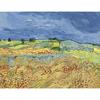 Natural Landscape HD Print Van Gogh Masterpiece Poster Starry Sky Sunflower Canvas Painting Modern Home Decor Wall Art Picture