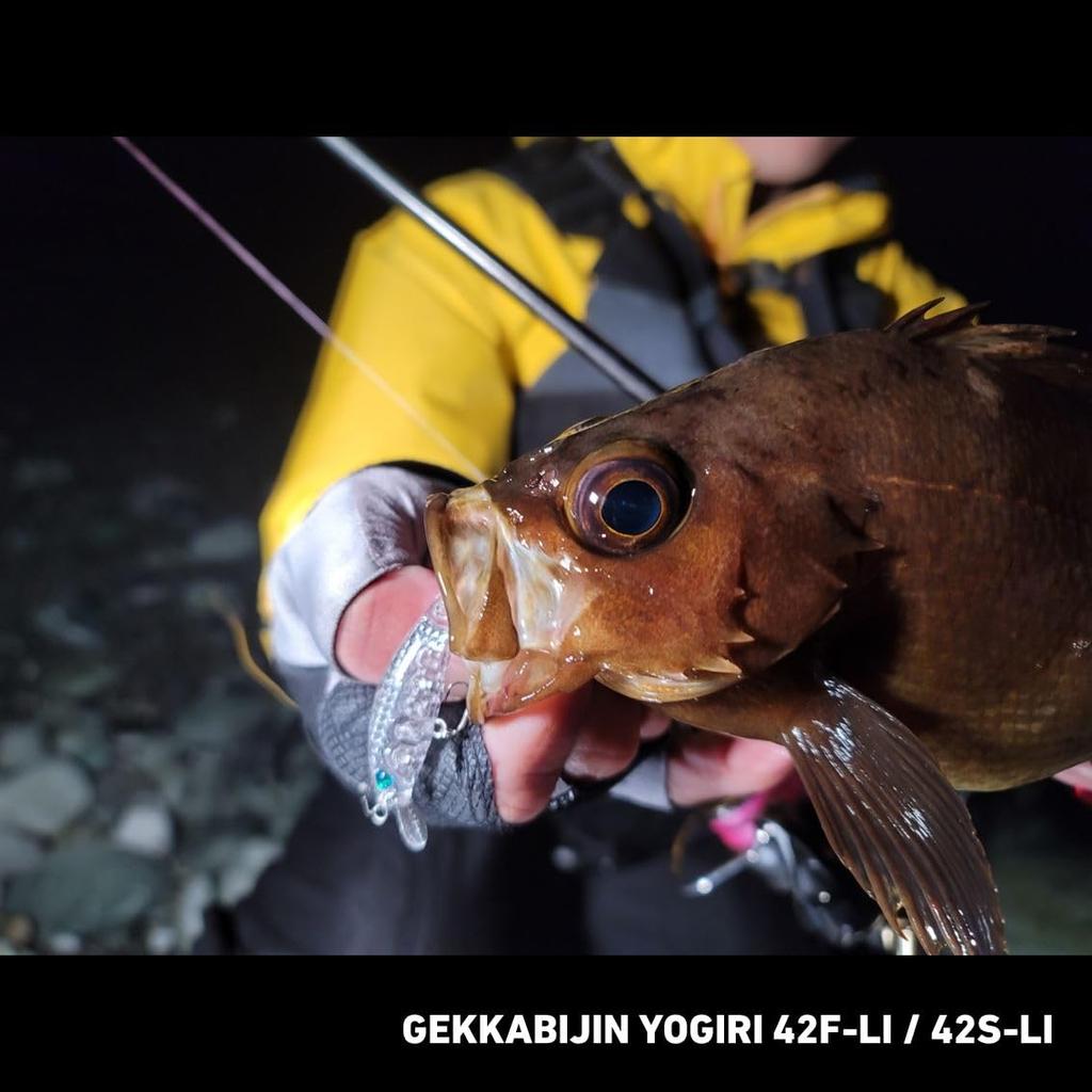 Daiwa Minnow Gekka Bijin Yogiri LI Max Laser (DAIWA) 42S-LI
