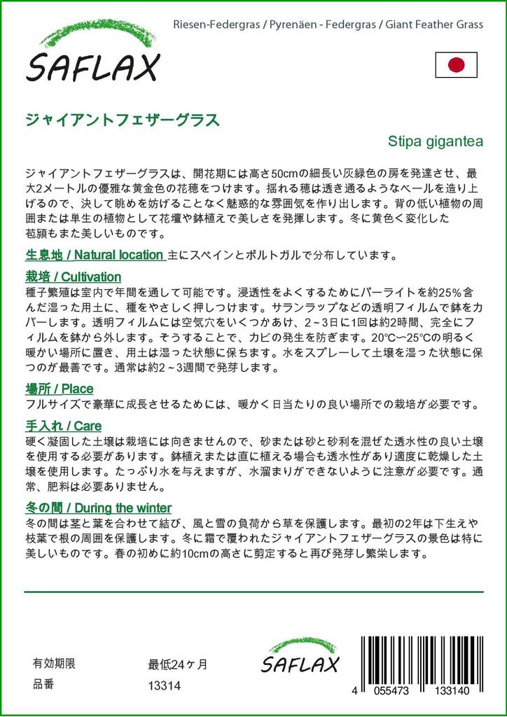 SAFLAX Zahrada v pytli - Obří péřová tráva - 10 semen - Se substrátem v padnoucím sáčku - Stipa gigantea